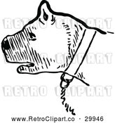 Vector Clip Art of a Retro Chained Pit Bull - Black and White by Prawny Vintage