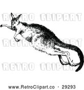 Vector Clip Art of a Retro Kangaroo Jumping by Prawny Vintage