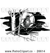 Vector Clip Art of a Retro Owl in a Tree by Prawny Vintage