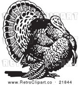 Vector Clip Art of a Retro Thanksgiving Turkey by BestVector