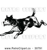 Vector Clip Art of an Old Retro Dog Running Playfully in Black and White by Prawny Vintage