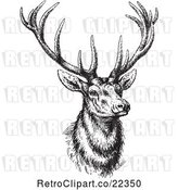 Vector Clip Art of Buck Deer by BestVector