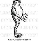 Vector Clip Art of Bullfrog Standing by Prawny Vintage