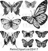Vector Clip Art of Butterflies 1 by BestVector
