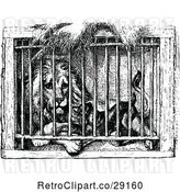 Vector Clip Art of Caged Lion and Dog by Prawny Vintage