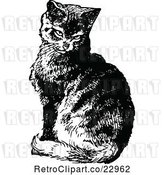 Vector Clip Art of Cat Sitting by Prawny Vintage