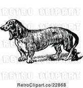 Vector Clip Art of Daschund Dog by Prawny Vintage