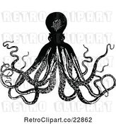 Vector Clip Art of Octopus 1 by Prawny Vintage