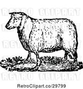Vector Clip Art of Retro Adult Sheep by Prawny Vintage