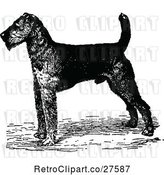 Vector Clip Art of Retro Airedale Terrier Dog by Prawny Vintage