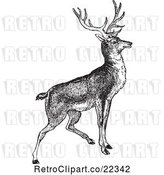 Vector Clip Art of Retro Alert Buck Deer by BestVector