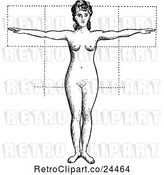 Vector Clip Art of Retro Anatomy of Female Proportions by Prawny Vintage