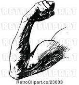 Vector Clip Art of Retro Arm Flexing a Bicep Muscle by Prawny Vintage