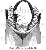 Vector Clip Art of Retro Baby in Cranial Position by Prawny Vintage
