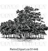 Vector Clip Art of Retro Banyan Tree by Prawny Vintage