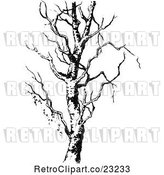 Vector Clip Art of Retro Bare Tree 1 by Prawny Vintage