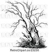Vector Clip Art of Retro Bare Tree 2 by Prawny Vintage