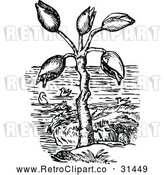 Vector Clip Art of Retro Barnacle Tree and Geese by Prawny Vintage