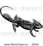 Vector Clip Art of Retro Basilisk Lizard by Prawny Vintage