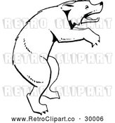 Vector Clip Art of Retro Bear on Its Hind Legs by Prawny Vintage