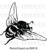 Vector Clip Art of Retro Bee 2 by Prawny Vintage