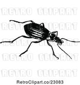 Vector Clip Art of Retro Beetle by Prawny Vintage