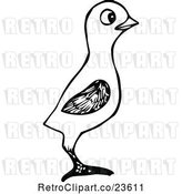 Vector Clip Art of Retro Bird by Prawny Vintage