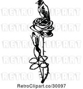Vector Clip Art of Retro Bird Perched on a Rose by Prawny Vintage