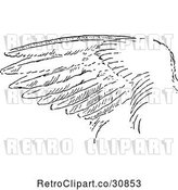 Vector Clip Art of Retro Bird Wing by Prawny Vintage