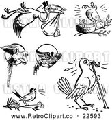 Vector Clip Art of Retro Birds by BestVector