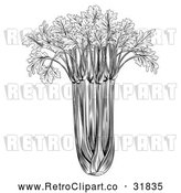Vector Clip Art of Retro Black and White Celery Bunch by AtStockIllustration