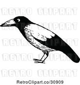 Vector Clip Art of Retro Black Bird by Prawny Vintage