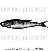 Vector Clip Art of Retro Bleak Fish by Prawny Vintage