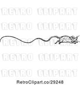 Vector Clip Art of Retro Border of a Long Tailed Rat by Prawny Vintage