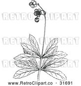 Vector Clip Art of Retro Botanical Plant with Flowers 2 by Prawny Vintage