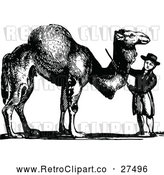 Vector Clip Art of Retro Boy with a Camel by Prawny Vintage