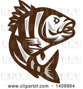 Vector Clip Art of Retro Brown and White Jumping Sheepshead Fish by Patrimonio