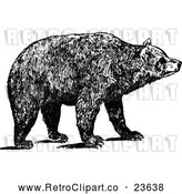Vector Clip Art of Retro Brown Bear by Prawny Vintage