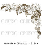 Vector Clip Art of Retro Brown Grape Vine Corner Border by AtStockIllustration