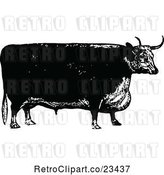 Vector Clip Art of Retro Bull 3 by Prawny Vintage