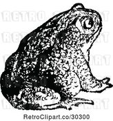 Vector Clip Art of Retro Bull Frog 2 by Prawny Vintage