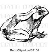 Vector Clip Art of Retro Bull Frog 3 by Prawny Vintage