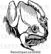 Vector Clip Art of Retro Bull Frog 4 by Prawny Vintage