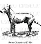 Vector Clip Art of Retro Bull Terrier Dog by Prawny Vintage