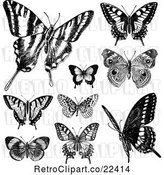 Vector Clip Art of Retro Butterflies 2 by BestVector
