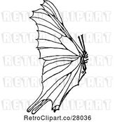 Vector Clip Art of Retro Butterfly by Prawny Vintage