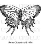 Vector Clip Art of Retro Butterfly by Prawny Vintage