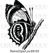 Vector Clip Art of Retro Butterfly on a Twig by Prawny Vintage