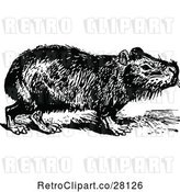 Vector Clip Art of Retro Capybara by Prawny Vintage