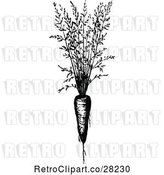 Vector Clip Art of Retro Carrot Plant by Prawny Vintage